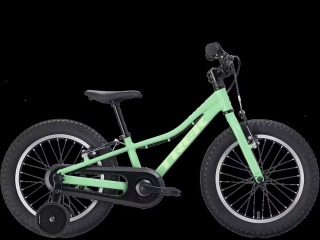 Precaliber 16